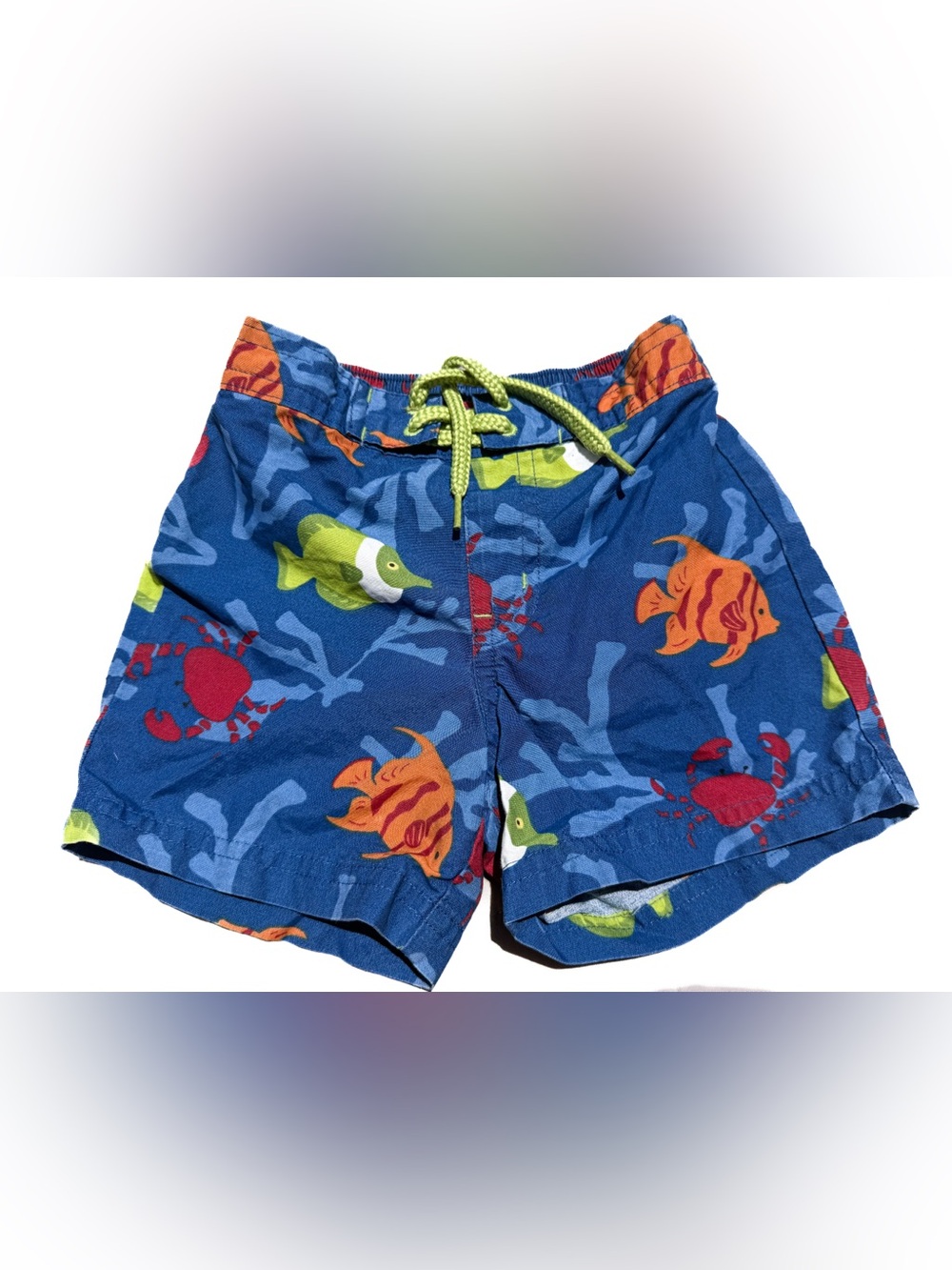 Janie and Jack Boys Sea Life Ocean Swim Trunks Blue Netting size 6 9 12 month